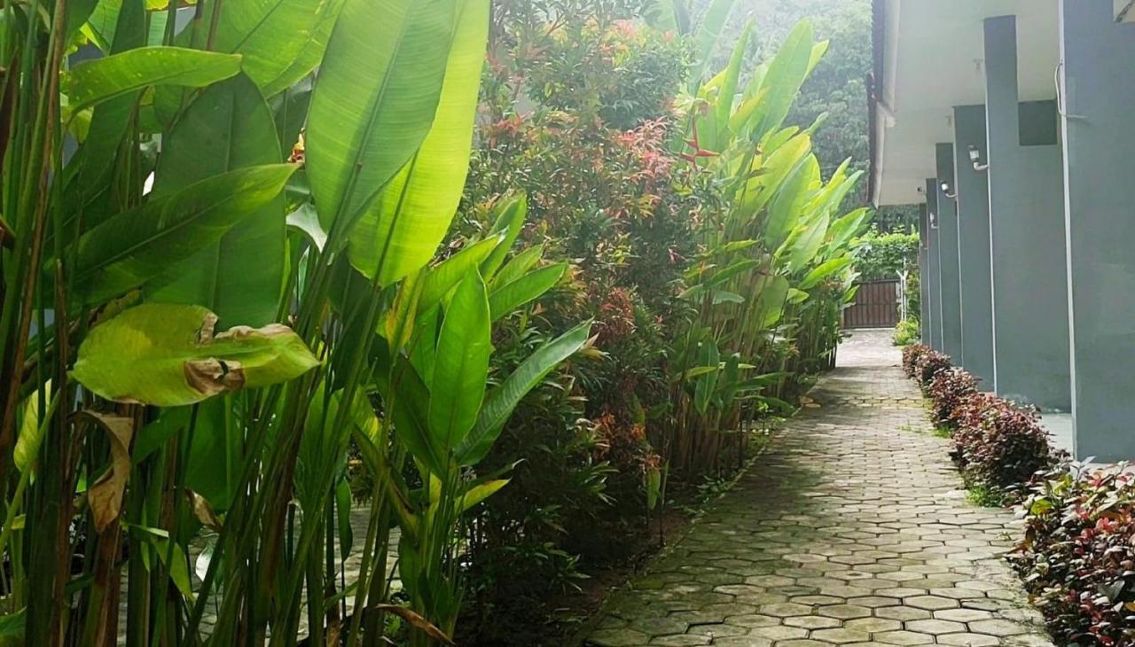 Oyo 2864 Mangsit Garden Homestay Bagian luar foto
